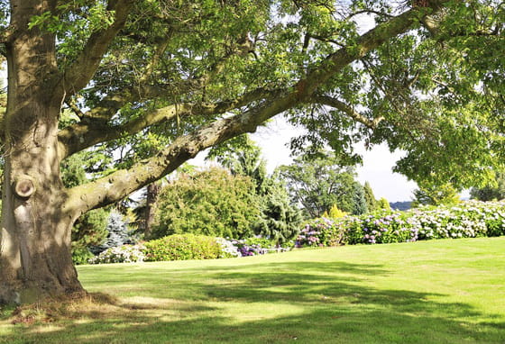 Horsham landscape in West London