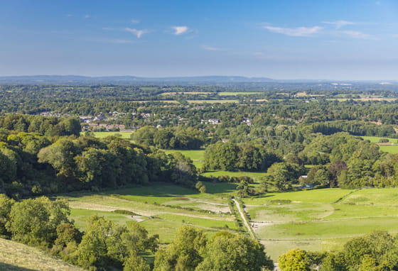 Horsham countryside