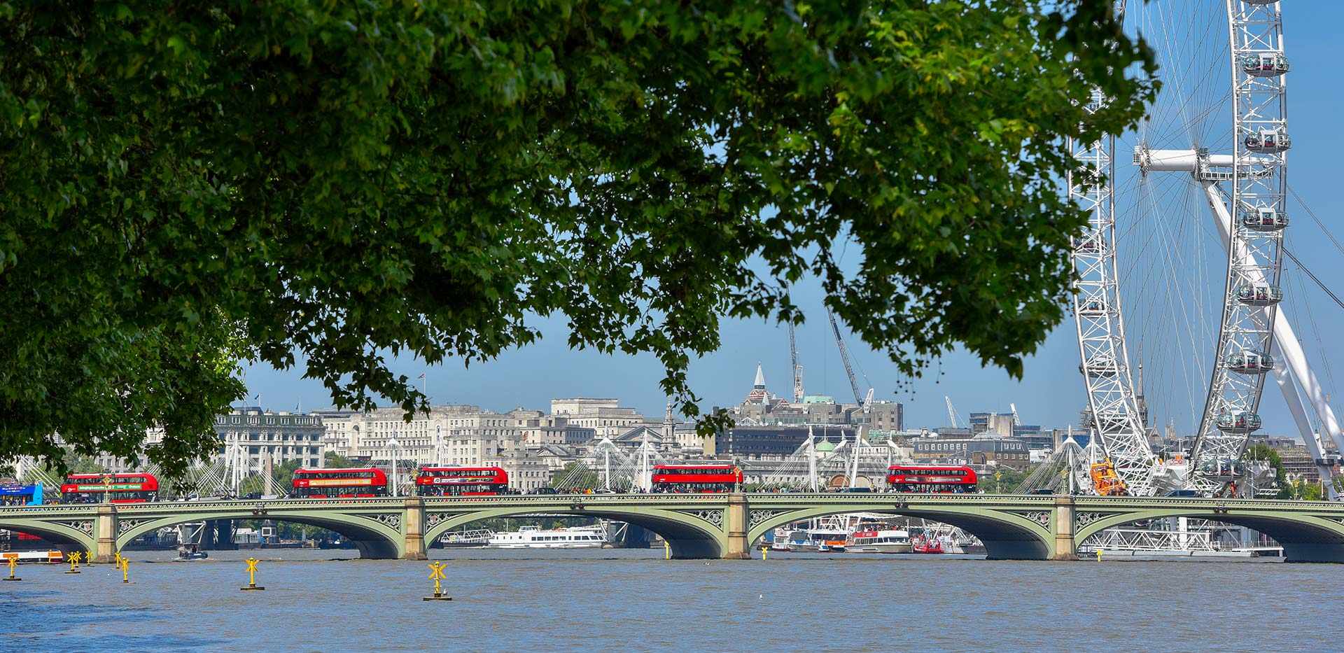 St Edward, 9 Millbank, Local Area