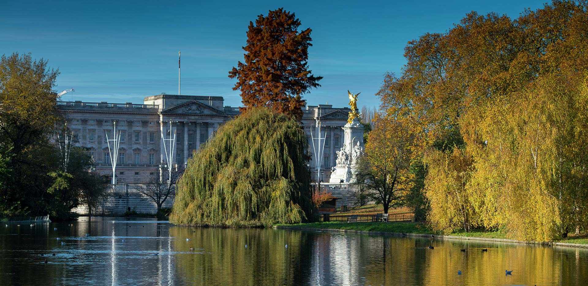 St Edward, 9 Millbank, Local Area