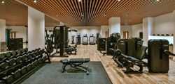 Interior of gym at 9 Millbank