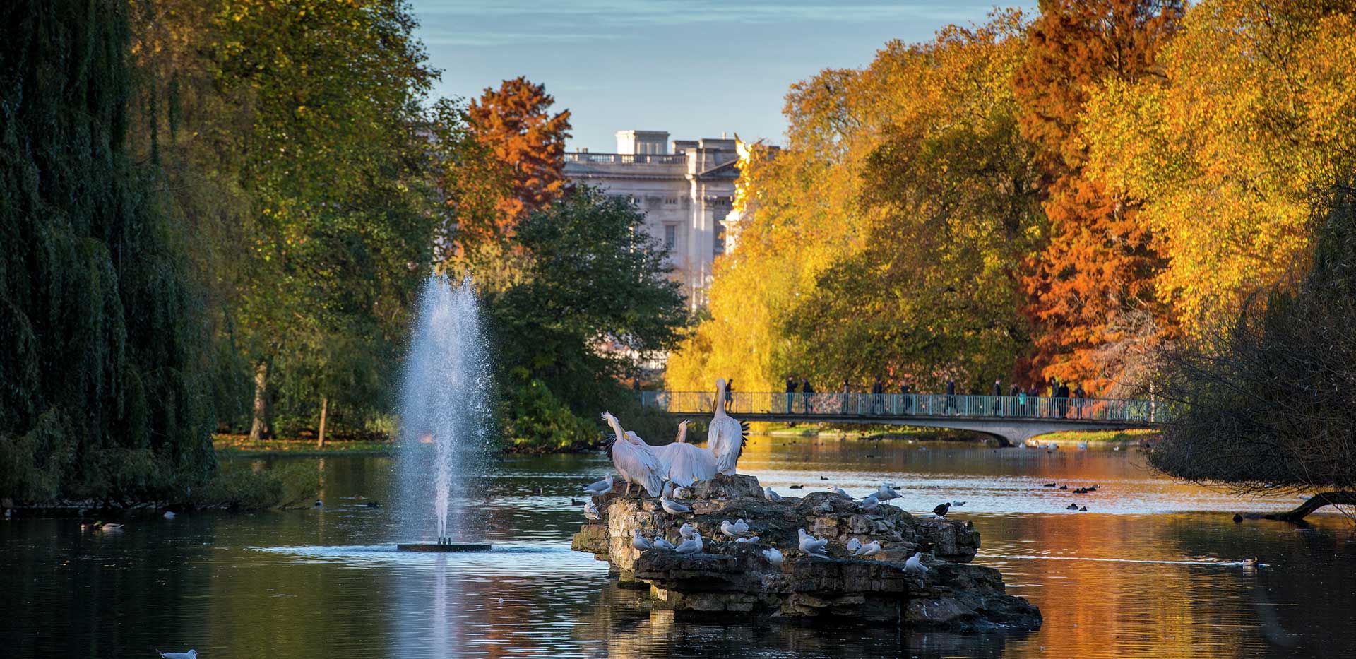 St Edward, 9 Millbank, Local Area