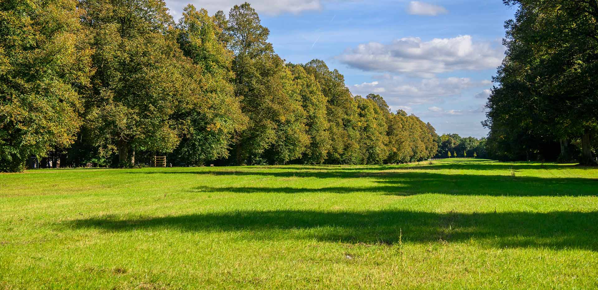 An exterior image of Abbey Barn Park