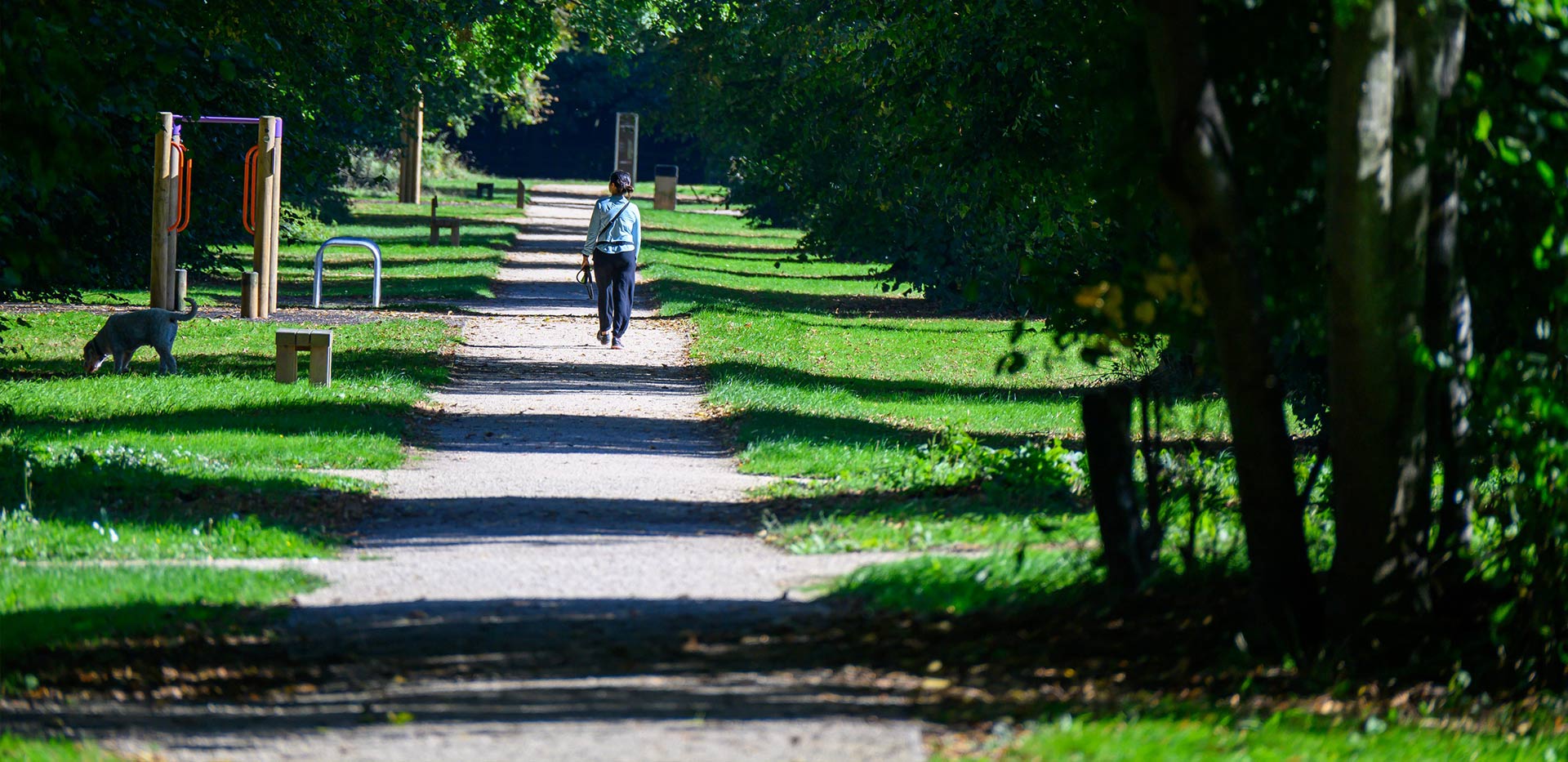 An image of a path through a row of trees at Abbey Barn Park
