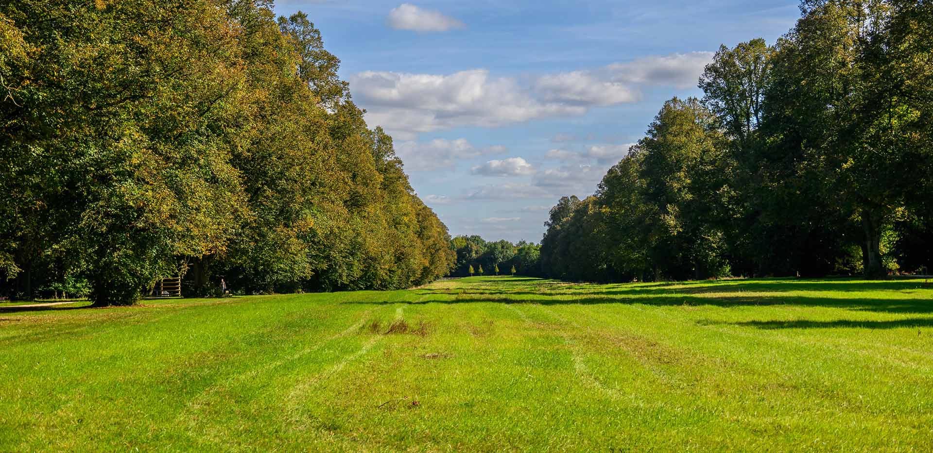 An exterior image of the parkland available at Abbey Barn Park
