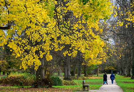 Residents walking through Abbey Barn Park greenery