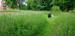 Residents enjoying the greenery around Abbey Barn Park