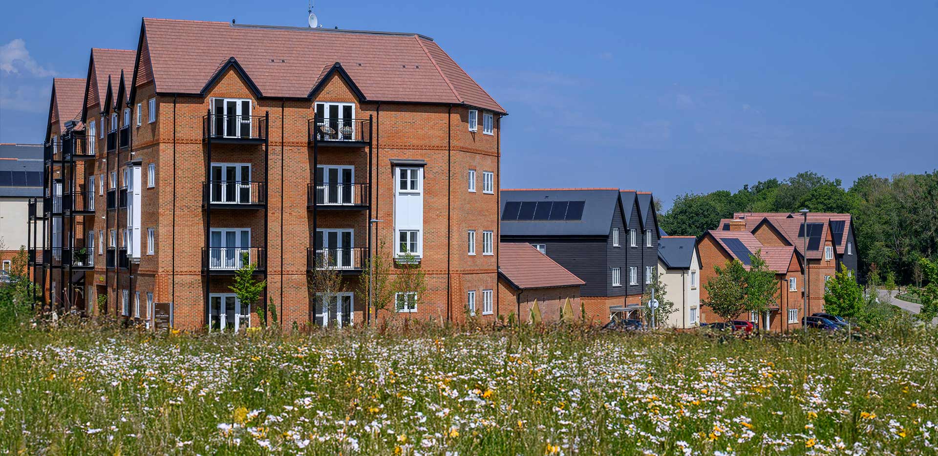 An exterior image of the apartments at Abbey Barn Park from across the field