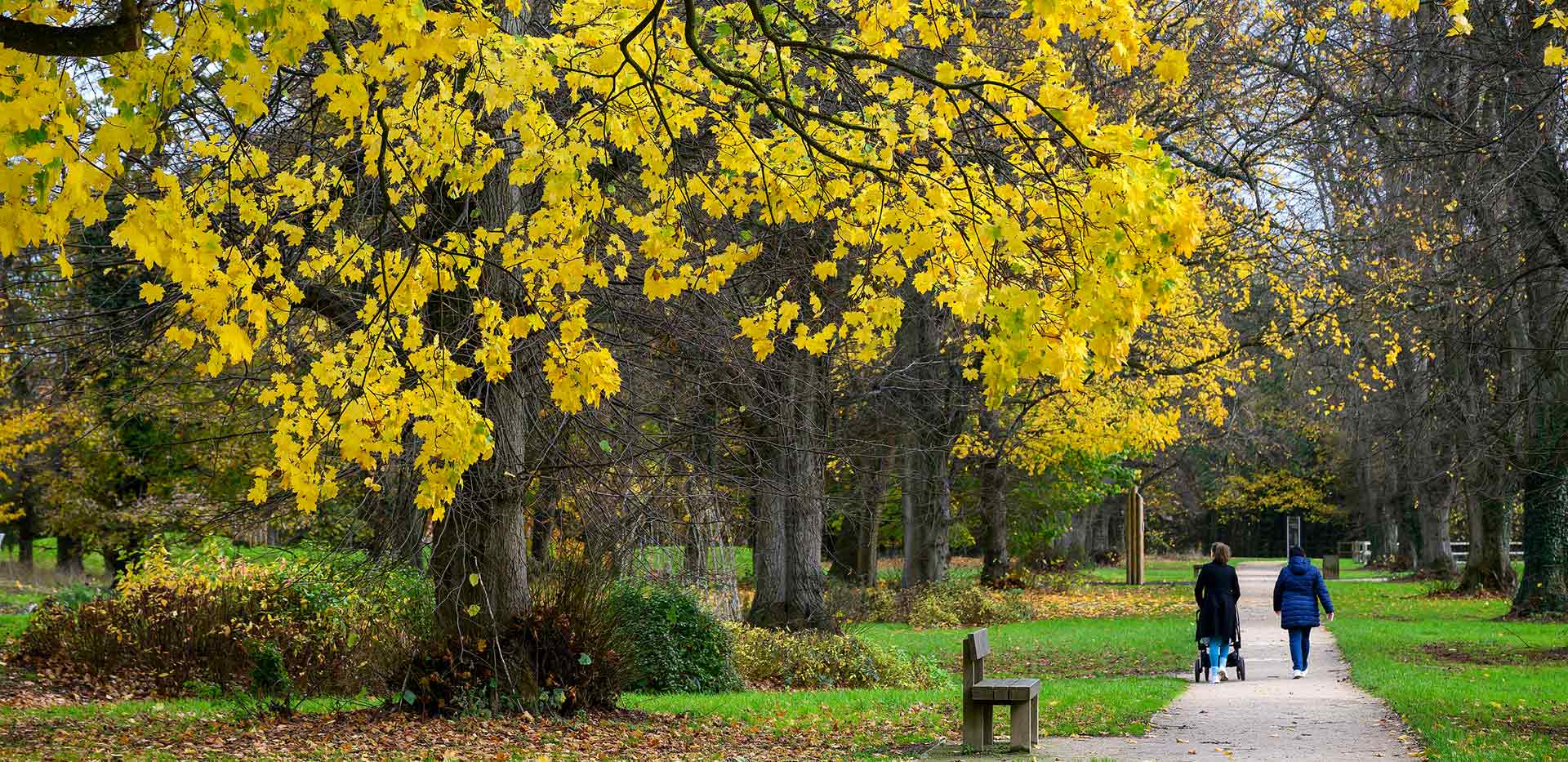 An exterior image of The Ride at Abbey Barn Park with people walking along the trail in Autumn