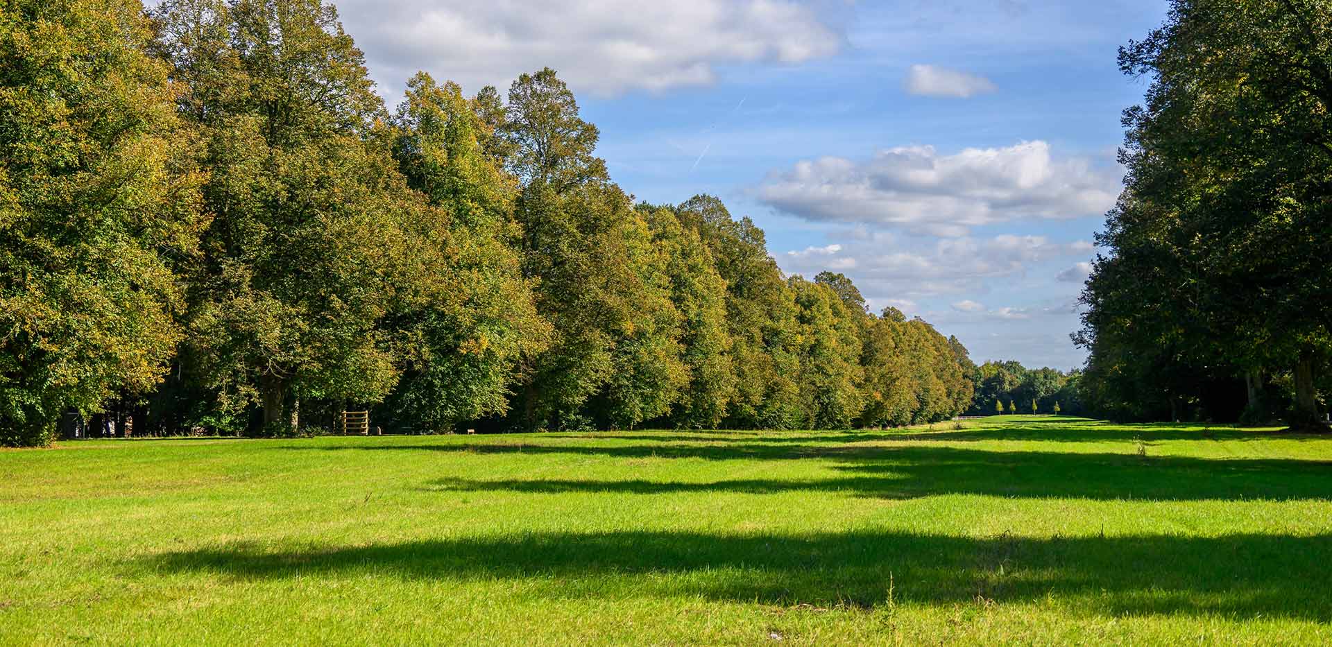 An exterior image of The Ride field at Abbey Barn Park 