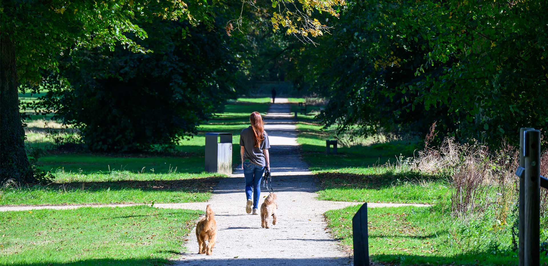 An exterior image of The Ride at Abbey Barn Park with someone walking with their dogs