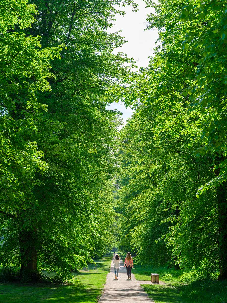 An exterior image of The Ride at Abbey Barn Park with people walking along the trail in between the trees