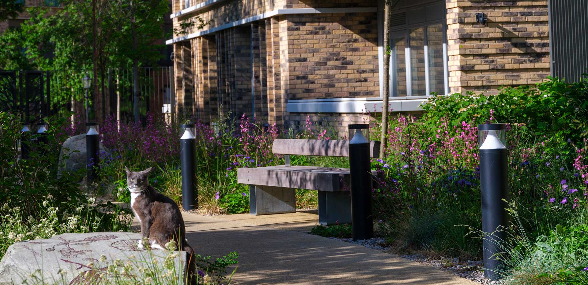 An exterior image of Alexandra Gate with a friendly neighbourhood cat