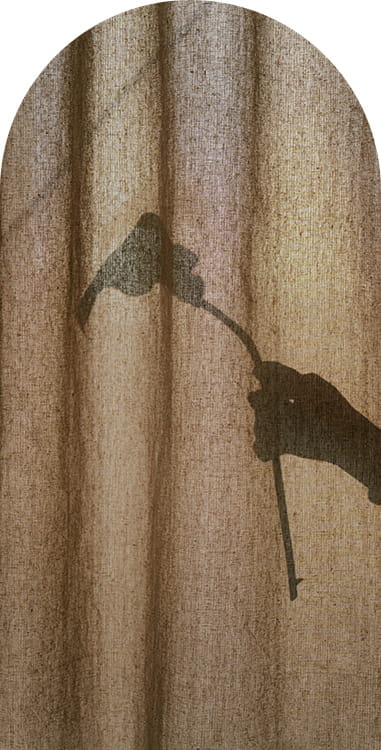 Silhouette photo Arch & Bloom