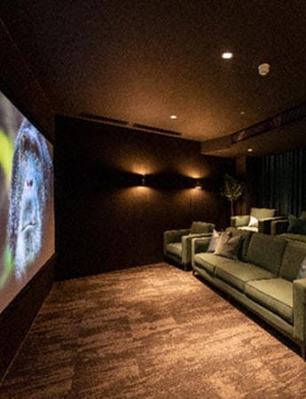 St Edward, Bankside Gardens, Cinema Room