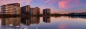Bankside Gardens