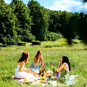 People having a picnic in a sunny field with trees in the background