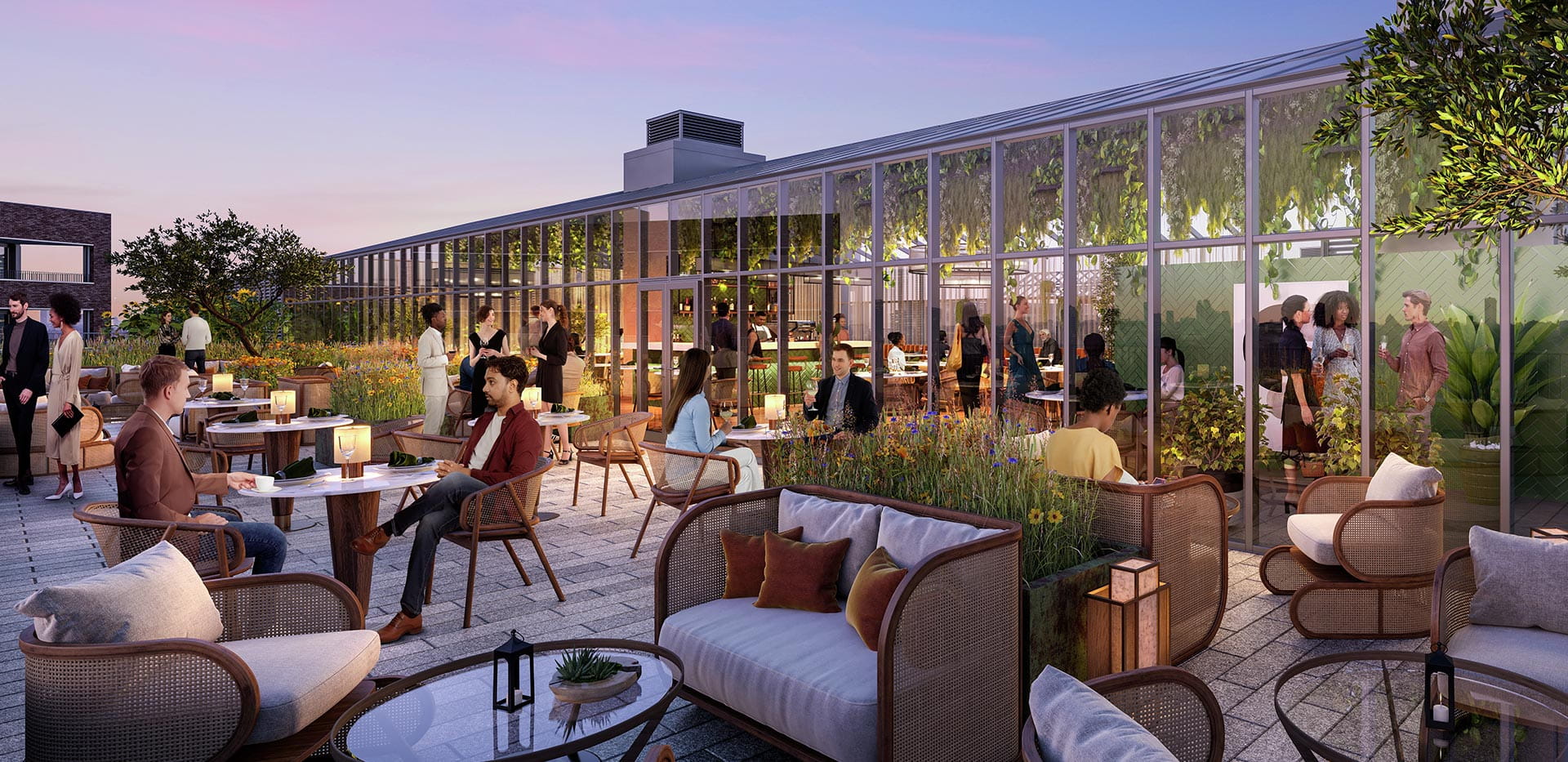 Image of a roof-top garden