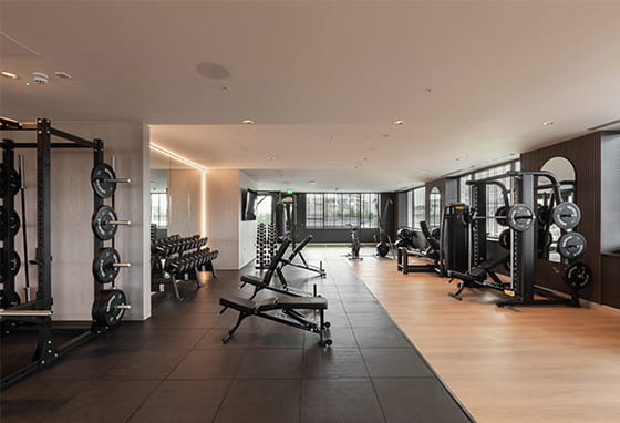 A gym with weights machines and free weights area