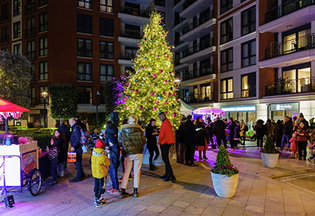 An Image of People around a Christmas Tree at Chelsea Creek