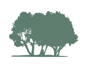 Chelsea Creek icon of some trees