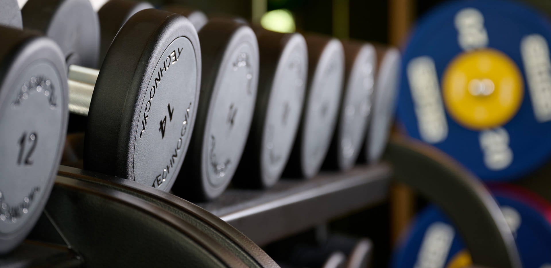 Chelsea Creek residents' gym weights section