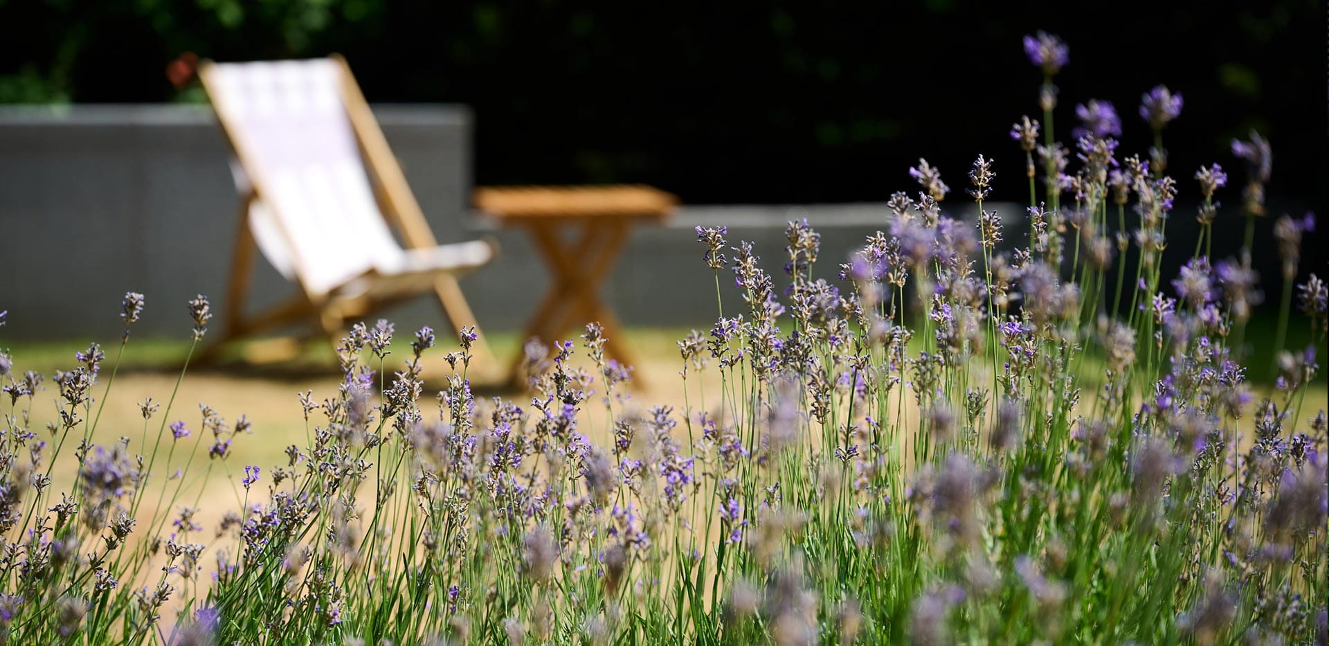 Chelsea Creek development greenery
