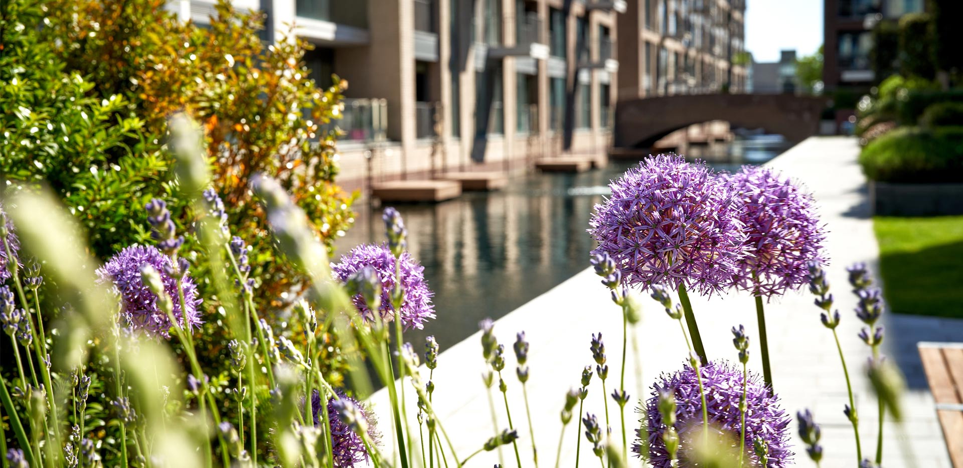 An exterior photograph of Chelsea Creek through flowers