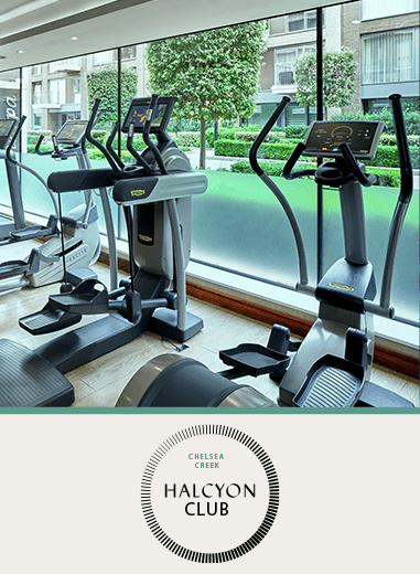 Chelsea Creek, The Halycon, Facilities