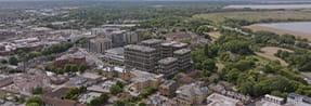 Eden Grove