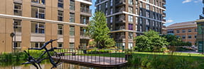 Eden Grove