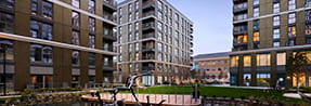 Eden Grove
