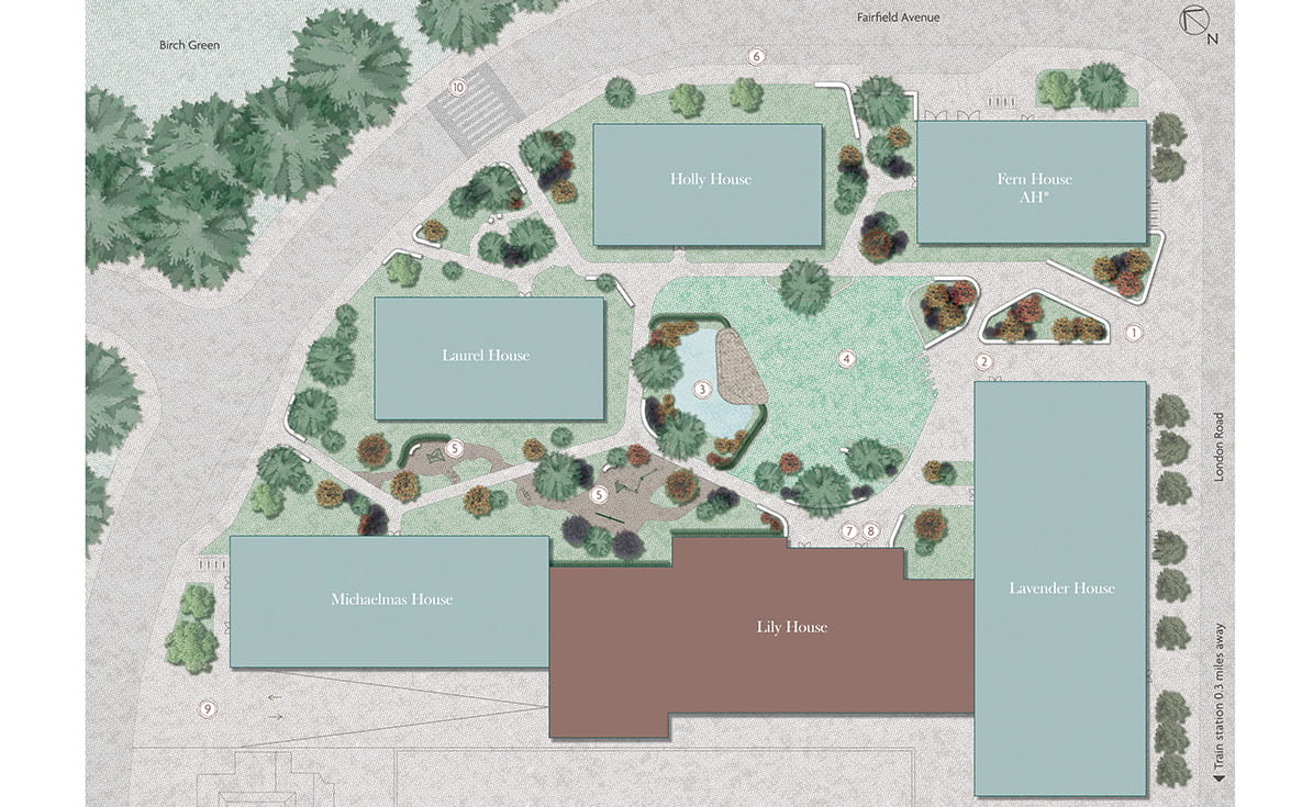 Eden Grove - Lily House Site Plan
