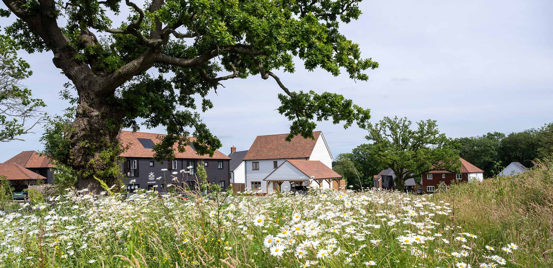 Exterior image of Farmstead surround by fields blooming with flowers on a warm sunny day