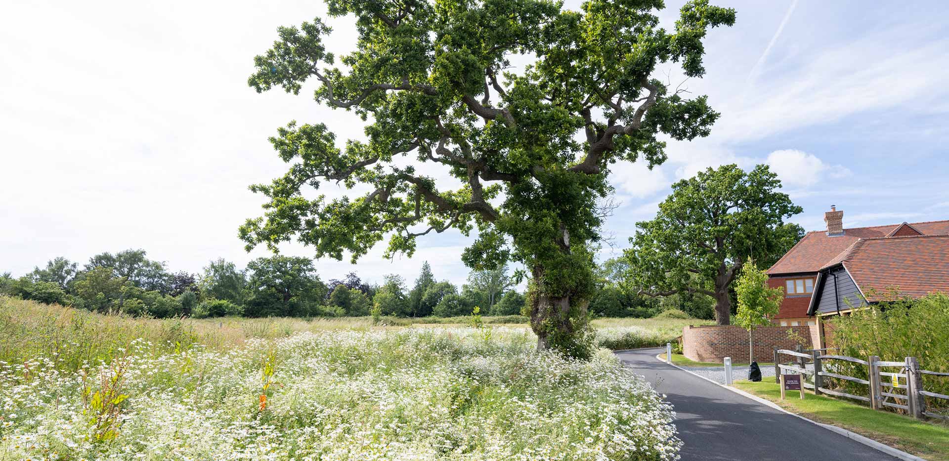 Exterior image of Farmstead surround by fields blooming with flowers on a warm sunny day