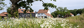 Farmstead