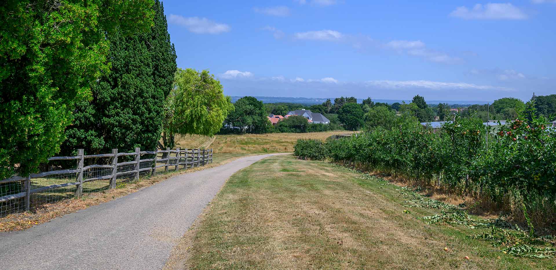 Foal Hurst Green, exterior, development greenery