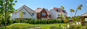 Foal Hurst Green