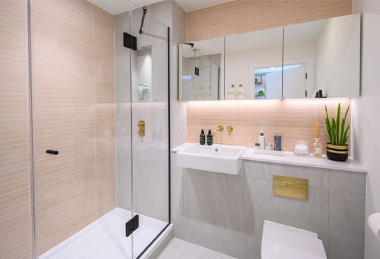 St George, Grand Union, Waterview House, Light Bathroom