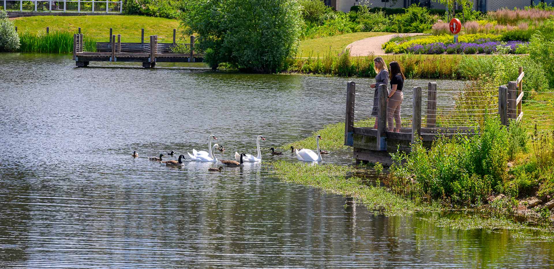 St Edward, Green Park Village, Exterior, Street Scene