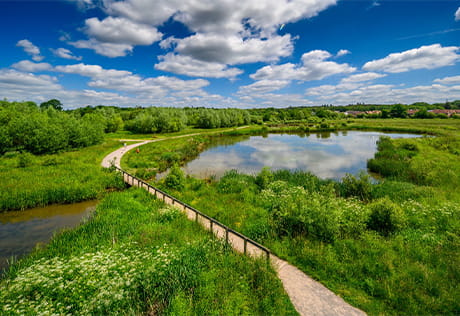 Exterior image of country park