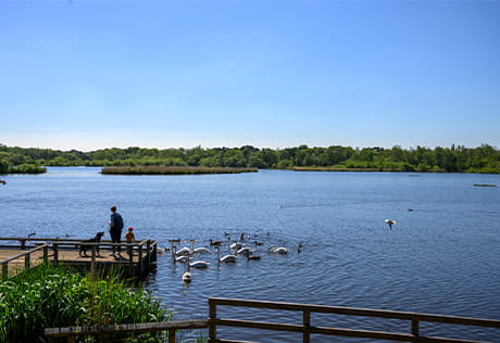 Exterior image of a lake