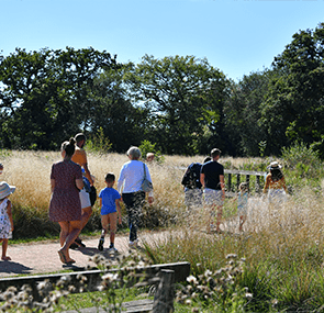 Berkeley, Hareshill, Country Park