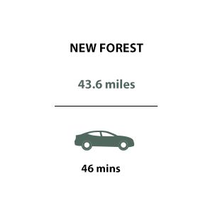 Travel Timeline - New Forest