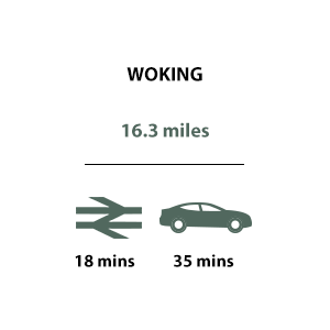 Travel Timeline - Woking