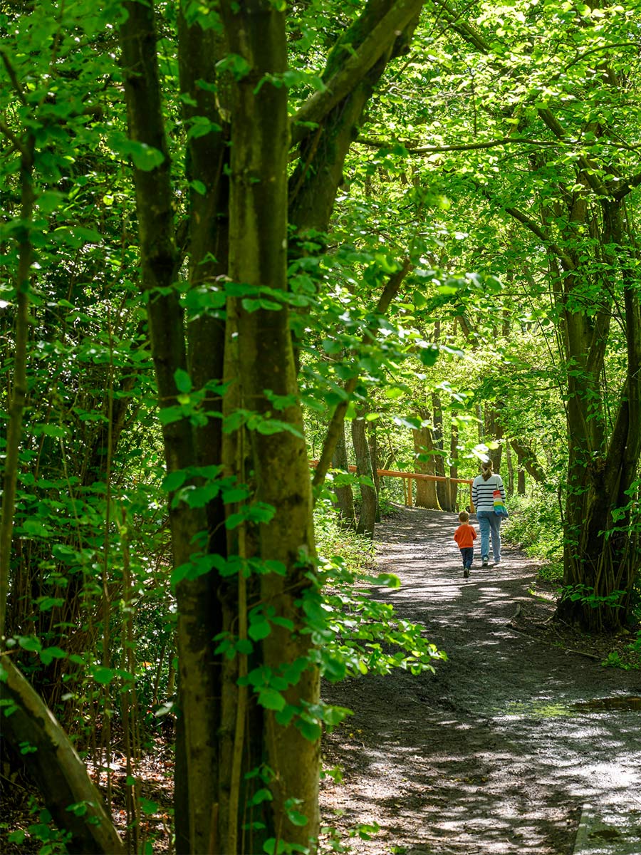 An image of the local area at Hartland Village