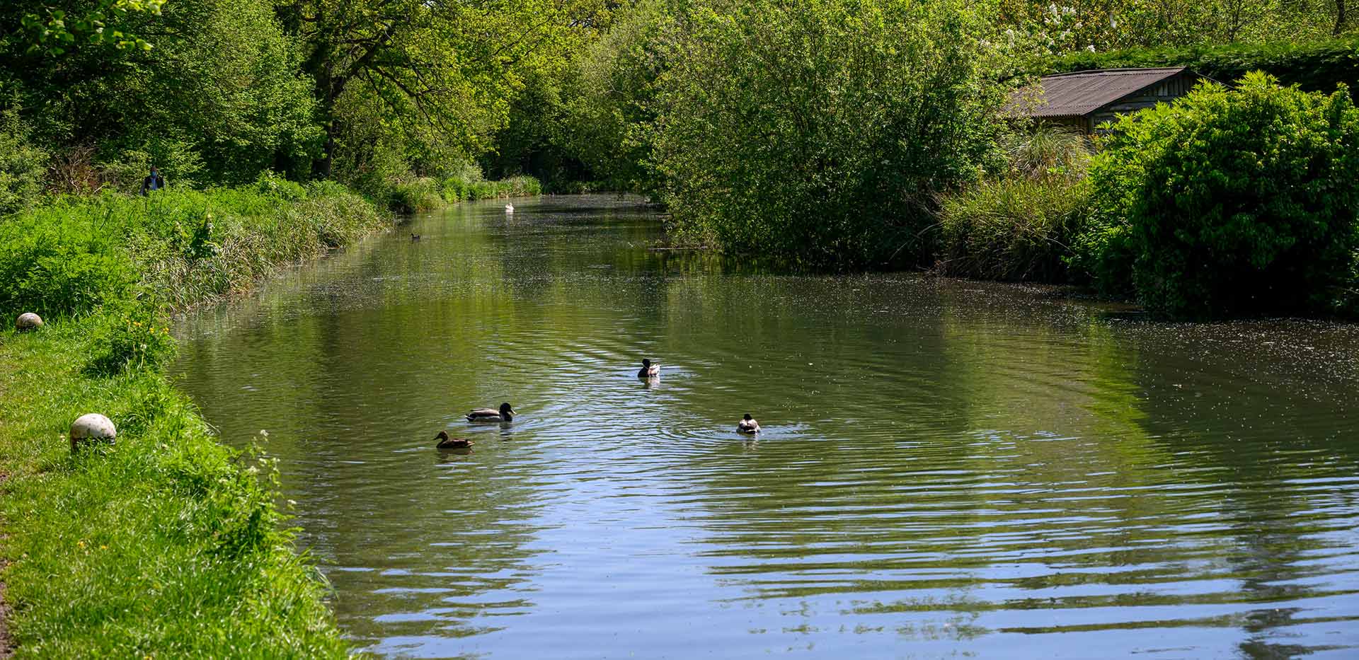 An image of the local area at Hartland Village