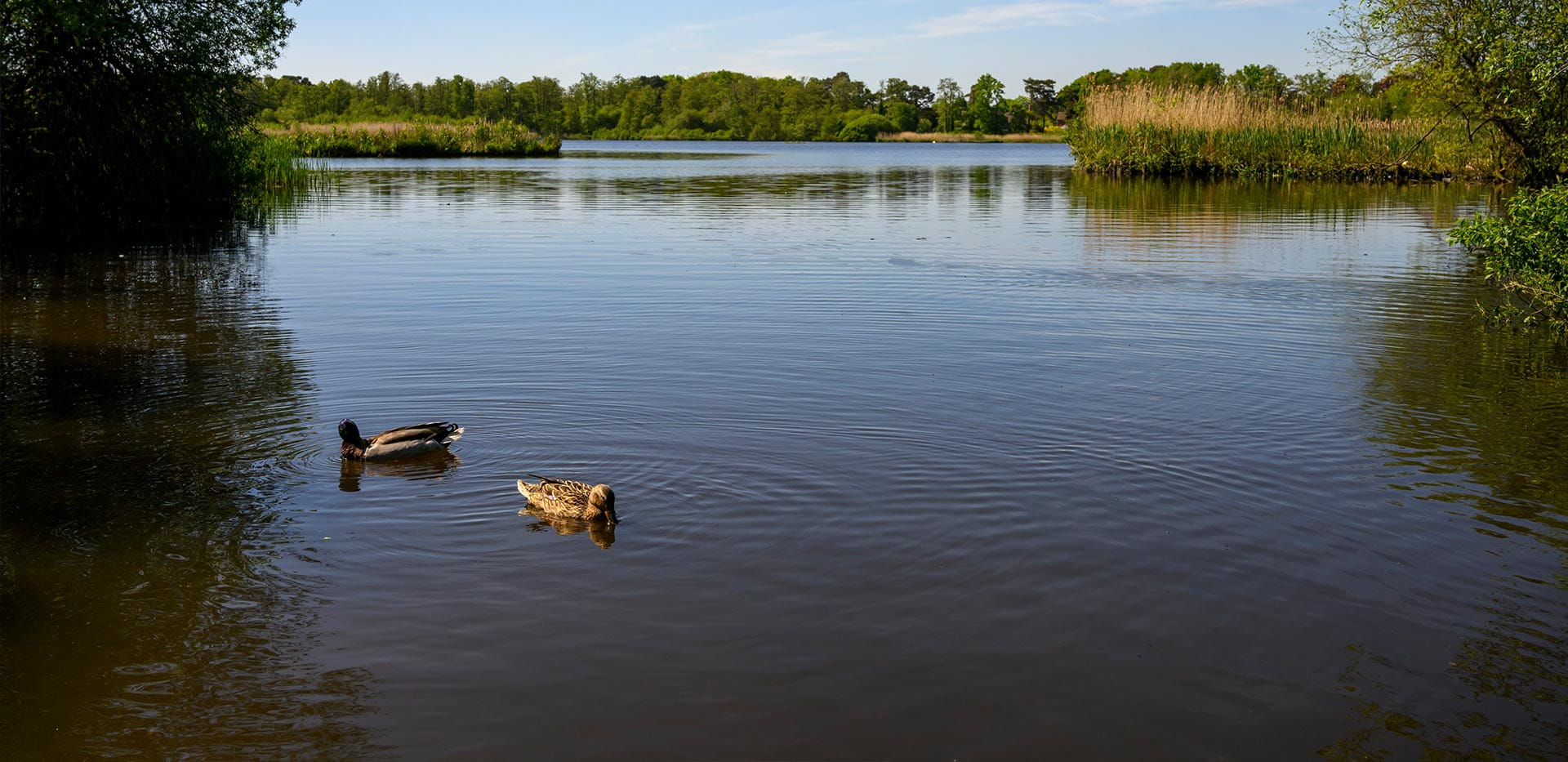 An image of the Local Area at Hartland Village