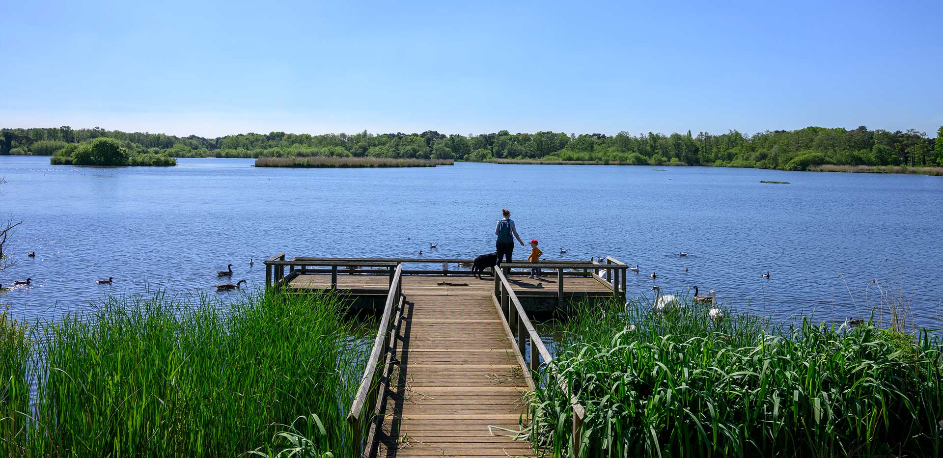 An image of the Local Area at Hartland Village