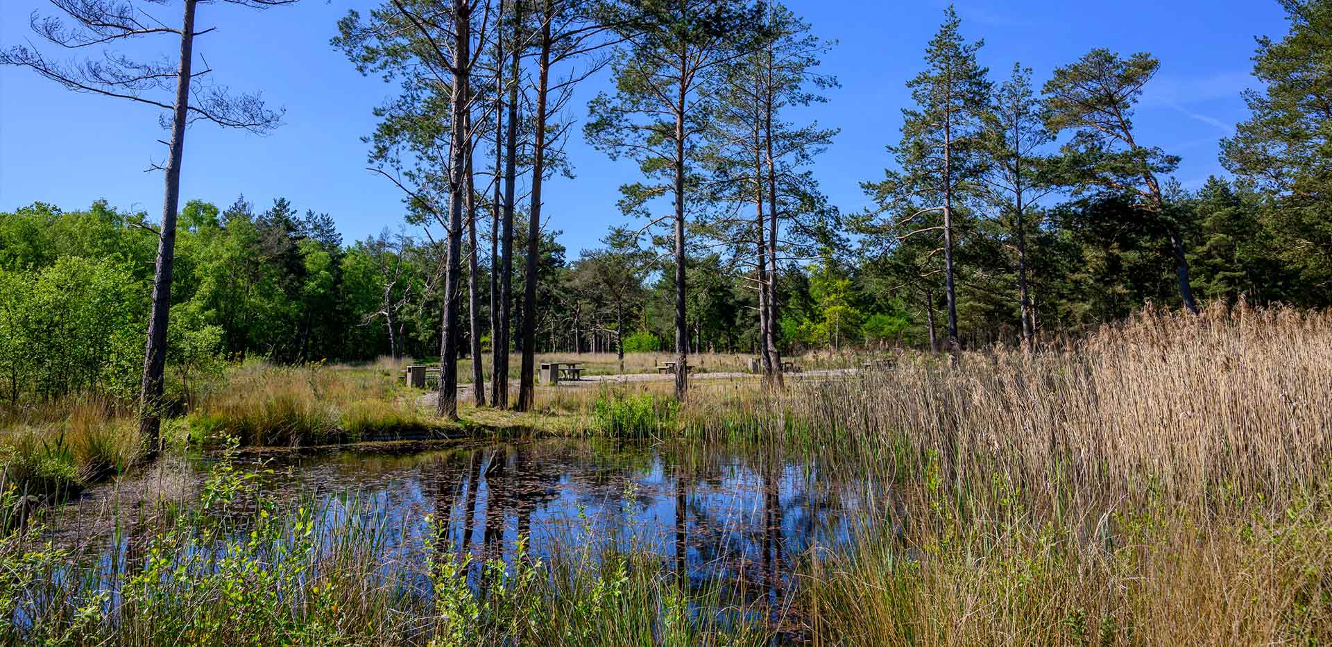 An image of the Local Area at Hartland Village